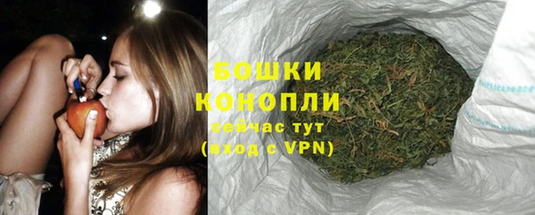 дмт Богородицк