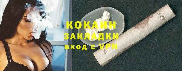 дмт Богородицк