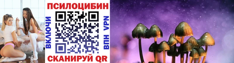 Галлюциногенные грибы Psilocybe  как найти закладки  Волжск 